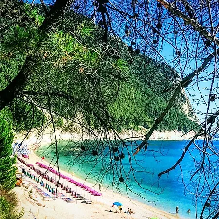 Tutto L'anno דירה