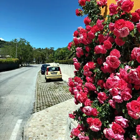 Apartamento Tutto L'anno